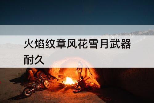 火焰纹章风花雪月武器耐久