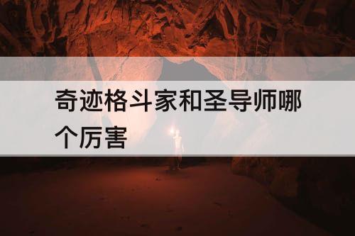 奇迹格斗家和圣导师哪个厉害