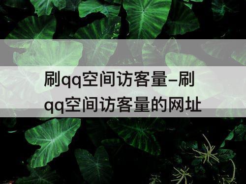 刷qq空间访客量-刷qq空间访客量的网址