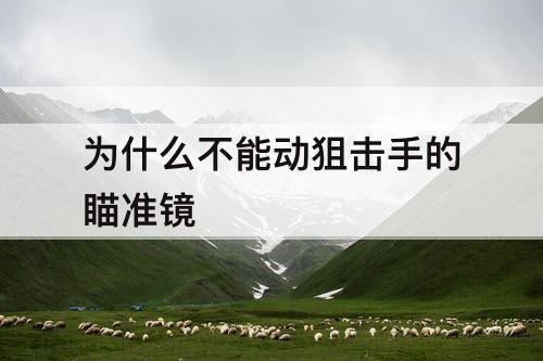 为什么不能动狙击手的瞄准镜