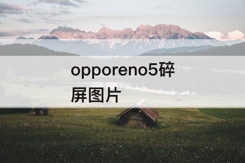 opporeno5碎屏图片