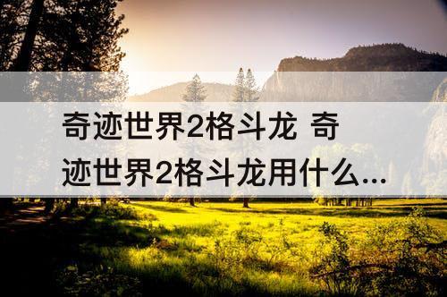 奇迹世界2格斗龙 奇迹世界2格斗龙用什么武器