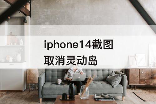 iphone14截图取消灵动岛