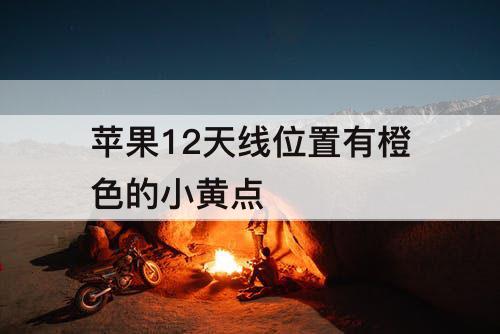 苹果12天线位置有橙色的小黄点