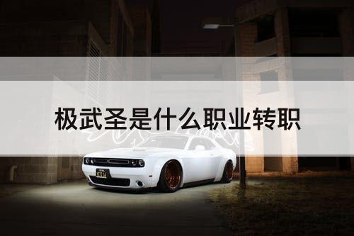 极武圣是什么职业转职
