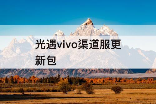 光遇vivo渠道服更新包