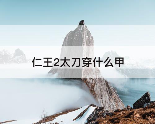 仁王2太刀穿什么甲
