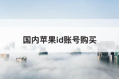 国内苹果id账号购买