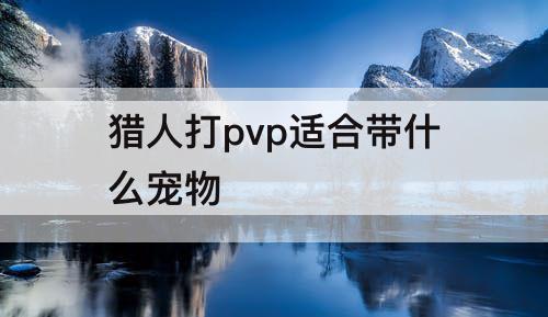 猎人打pvp适合带什么宠物