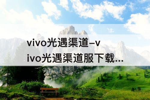 vivo光遇渠道-vivo光遇渠道服下载安装包