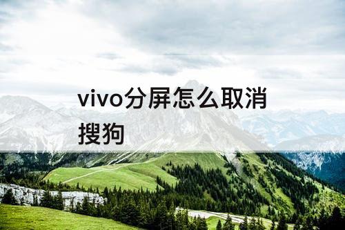 vivo分屏怎么取消搜狗