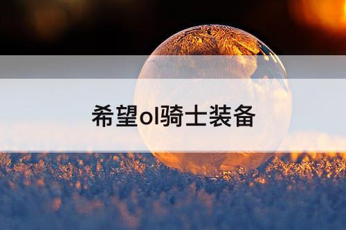 希望ol骑士装备