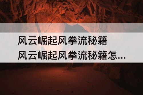 风云崛起风拳流秘籍 风云崛起风拳流秘籍怎么完成