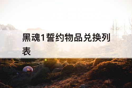黑魂1誓约物品兑换列表