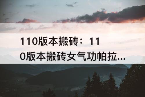 110版本搬砖：110版本搬砖女气功帕拉丁
