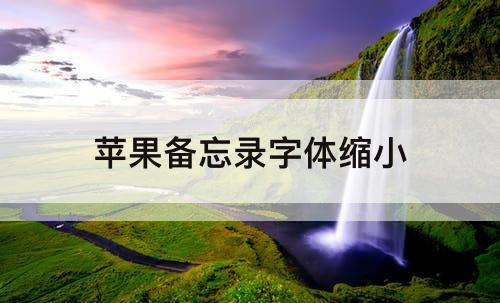 苹果备忘录字体缩小