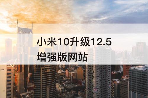 小米10升级12.5增强版网站