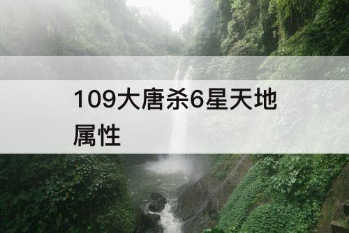 109大唐杀6星天地属性