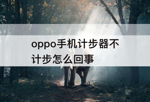 oppo手机计步器不计步怎么回事
