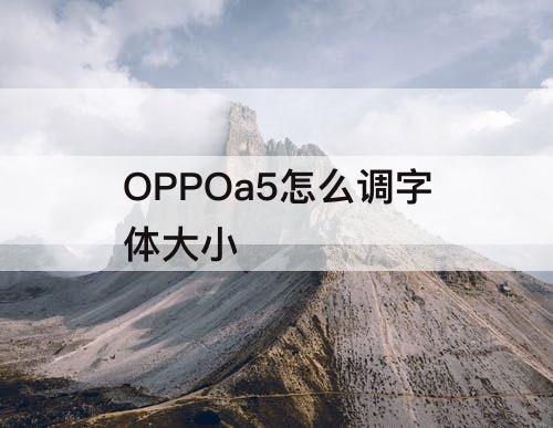OPPOa5怎么调字体大小