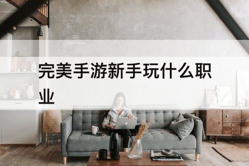 完美手游新手玩什么职业