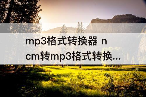 mp3格式转换器 ncm转mp3格式转换器
