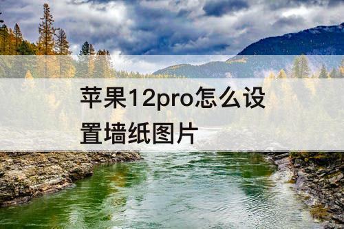 苹果12pro怎么设置墙纸图片