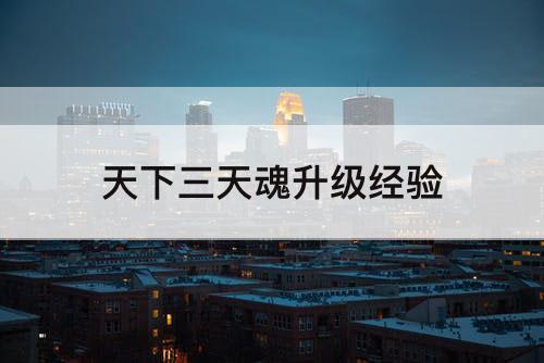 天下三天魂升级经验