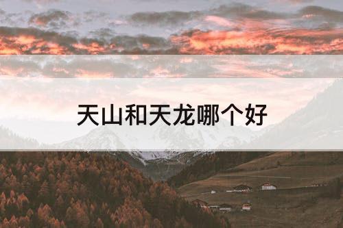 天山和天龙哪个好