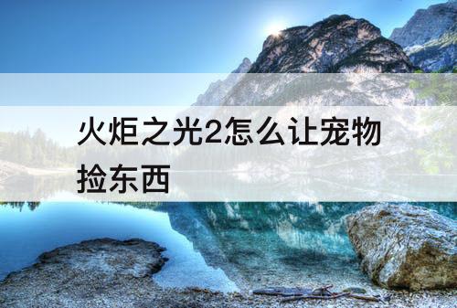 火炬之光2怎么让宠物捡东西
