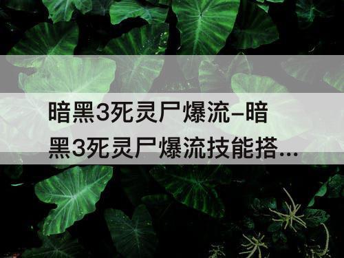 暗黑3死灵尸爆流-暗黑3死灵尸爆流技能搭配