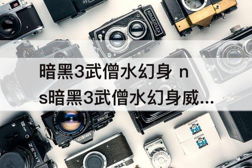 暗黑3武僧水幻身 ns暗黑3武僧水幻身威能提取