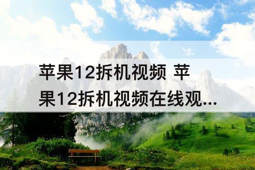 苹果12拆机视频 苹果12拆机视频在线观看