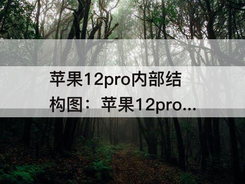 苹果12pro内部结构图：苹果12pro内部结构图墙纸