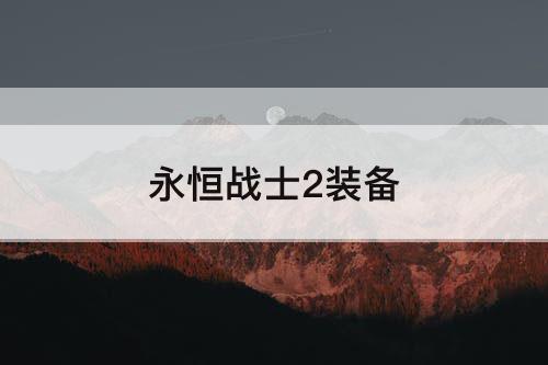 永恒战士2装备