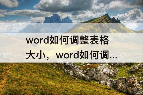 word如何调整表格大小，word如何调整表格大小打印