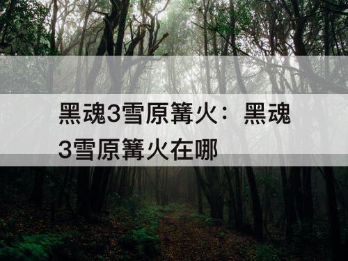 黑魂3雪原篝火：黑魂3雪原篝火在哪