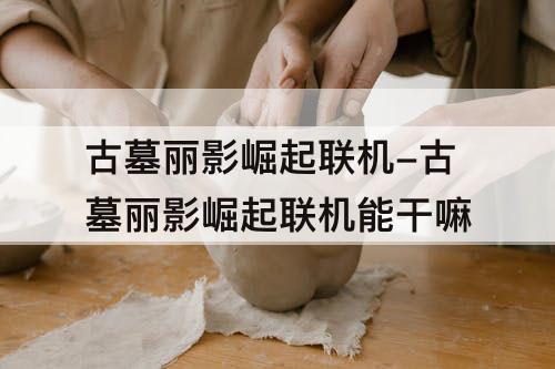 古墓丽影崛起联机-古墓丽影崛起联机能干嘛