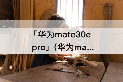 「华为mate30e pro」(华为mate30e pro多少钱)