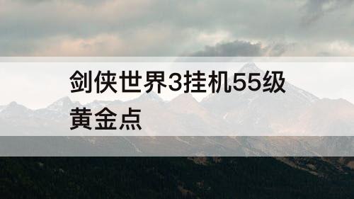 剑侠世界3挂机55级黄金点