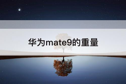 华为mate9的重量