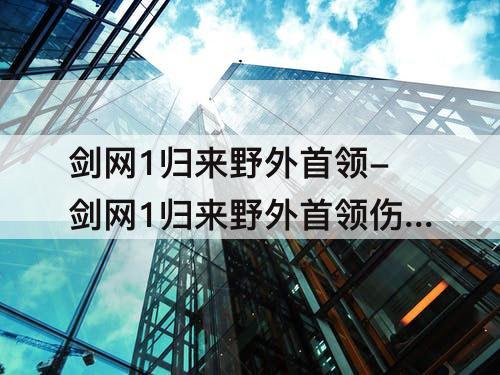 剑网1归来野外首领-剑网1归来野外首领伤害怎么计算的