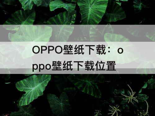 OPPO壁纸下载：oppo壁纸下载位置