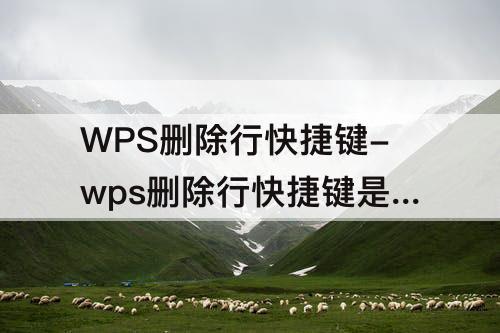 WPS删除行快捷键-wps删除行快捷键是哪个