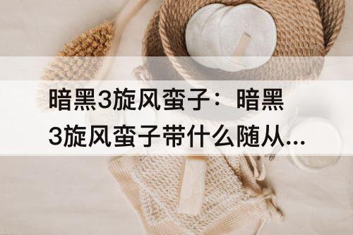暗黑3旋风蛮子：暗黑3旋风蛮子带什么随从出装