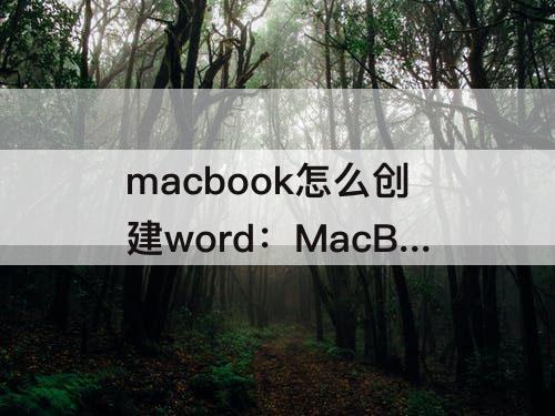 macbook怎么创建word：MacBook怎么创建word文档