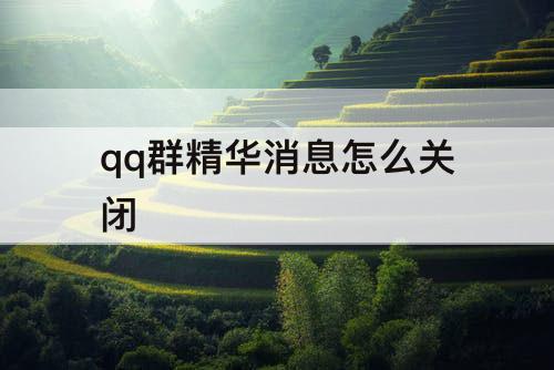 qq群精华消息怎么关闭