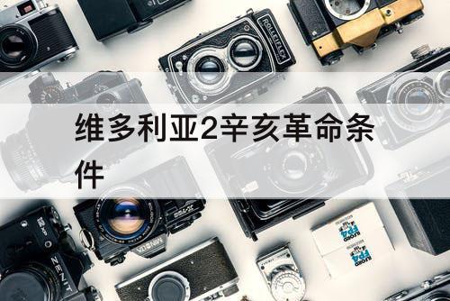 维多利亚2辛亥革命条件