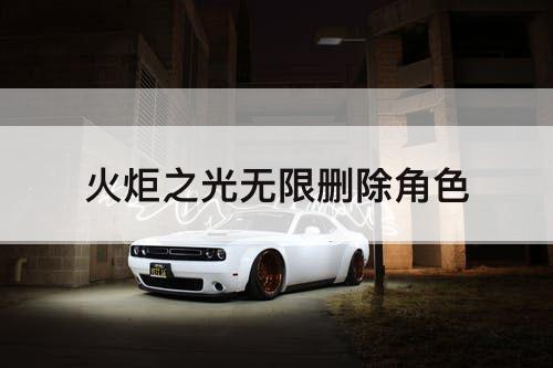 火炬之光无限删除角色