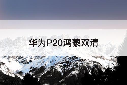 华为P20鸿蒙双清